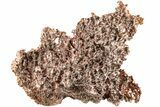 Natural, Native Copper Formation - Michigan #204873-1